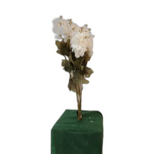 Yapay Beyaz Ortanca Demeti