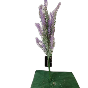 Yapay Lila Başak Dalı