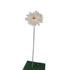 Yapay Beyaz Gerbera