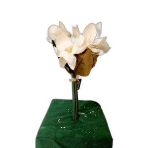 Yapay Krem Manolya Dalı