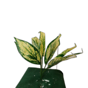 Yapay Alacalı Yaprak Demeti