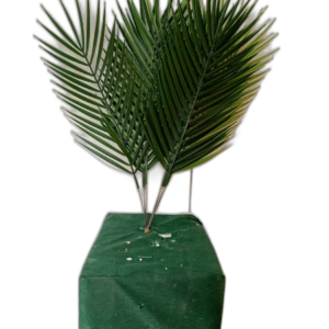 Yapay Palmiye Yaprağı