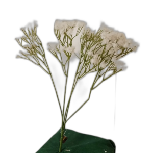 Yapay Beyaz Dolgu Çiçeği