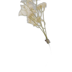 Yapay Beyaz Kuru Çiçek Demeti