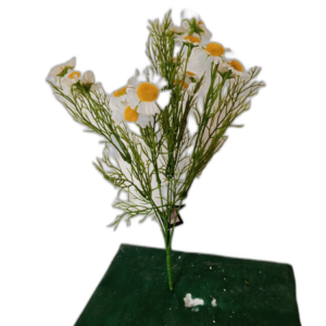 Yapay Sarı Papatya Demeti